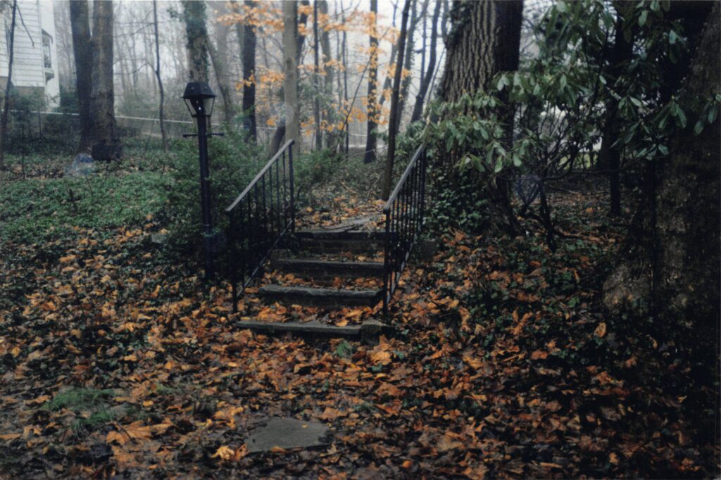 Foggy autumn steps in Central New York, photographed by Kelsey — intimate wedding photographer and founder of Honey & Bloom Photography in Chittenango, NY